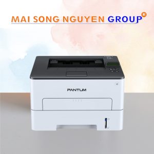 Máy In Laser Pantum P3300DN