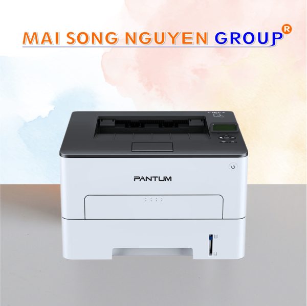 Máy In Laser Pantum P3300DN